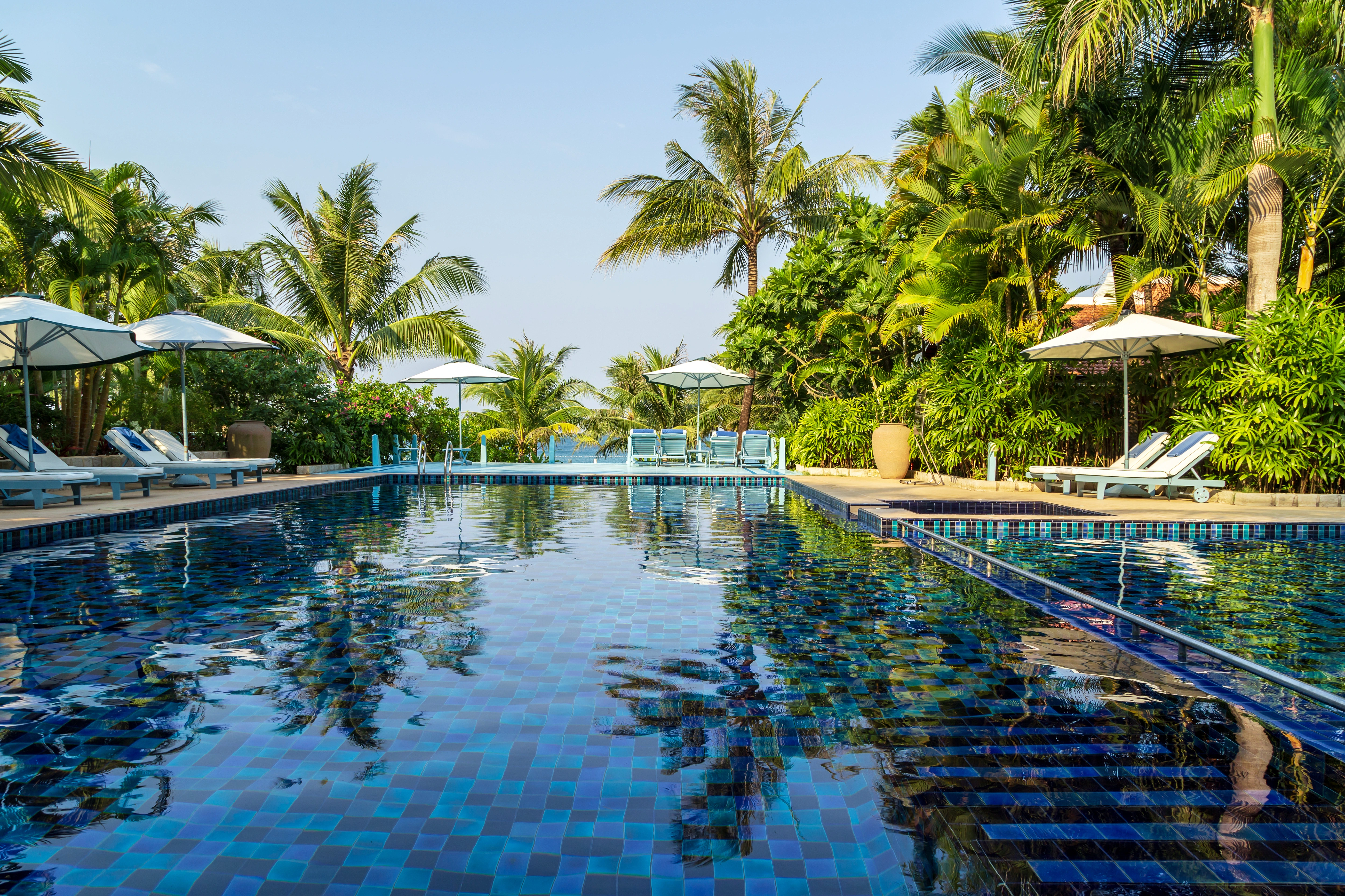 Sparkling backyard swimming pool with palm trees, representing Excel Pool Care's service area in Jupiter, Florida